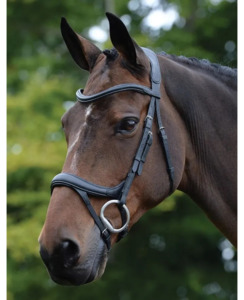 Products: Collegiate Comfitec Vogue Anatomical Bridle - Horse-Bridles : Richmond Saddlery - Collegiate YES