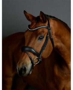 Products: Collegiate Comfitec Opulux Padded Dressage Bridle - Horse-Bridles : Richmond Saddlery - Collegiate