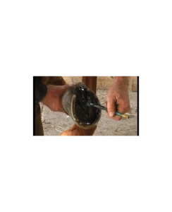 Products: Stockholm Tar - 1 Litre - Horse Care-Farrier Tools & Studs : Richmond Saddlery - Pharachem YES