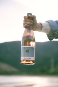 Products: Summer Haze – Marlborough Rosé Ripple Effect Wines NZ - REW