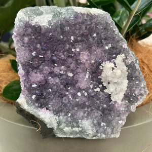 Amethyst: Amethyst Standing Cluster