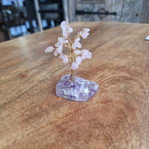 Rose Quartz Crystal Tree on Fluorite Base