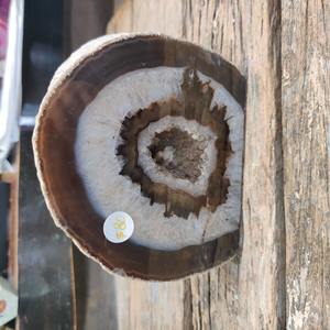 Standing Agate Piece - Grey