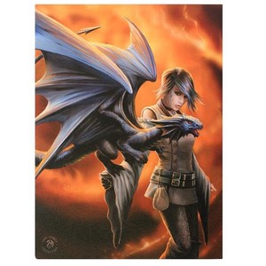 Small Dragon Trainer Canvas RivendellWorld