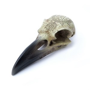 Products: Alchemy Omega Raven Skull RivendellWorld