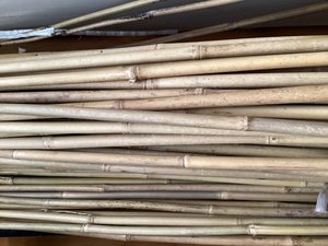 Bamboo Cane each