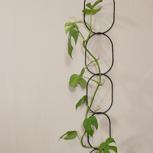 Botanopia Climbing Plant Support