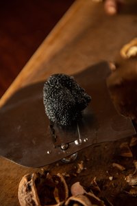 Fresh Truffle NZ per gram - RiverrdTruffière
