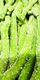 Sour Apple