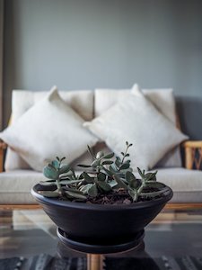 Westcoast Stoneware Planter - DRAIN TRAY - large - Rivet - Vintage & Gallery from Raglan