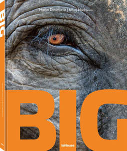 Gifts: Big by Marko Dimitrijevic/Amos Nachoum