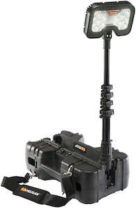 Lights: 9490 Remote Area Light