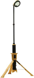 9440 Remote Area Light