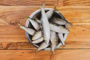 1kg Premium Pilchards Omega-3 Rich Treats for Cats and Dogs