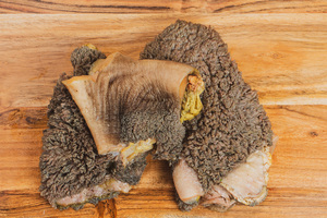 Green Tripe for Dogs - Wholesome and Nutritious Roar Pet Food