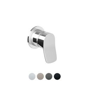 Brim: BRIM SHOWER MIXER W SMALL FACE PLATE