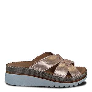 Diana Ferrari: IDELLA