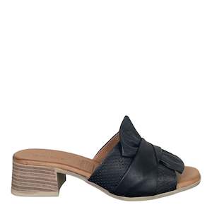 Diana Ferrari: TAQUIN