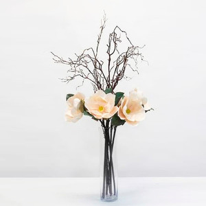 Products: Magnolia robyn-buis
