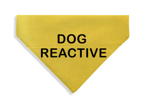 Products: Dog Reactive Bandana - From Rocco & Co