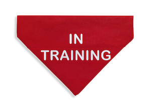 In Training Bandana - From Rocco & Co
