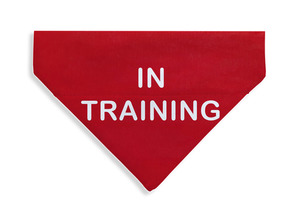 Products: In Training Bandana - From Rocco & Co