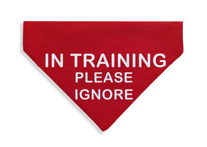 Products: Training, Ignore Bandana - From Rocco & Co