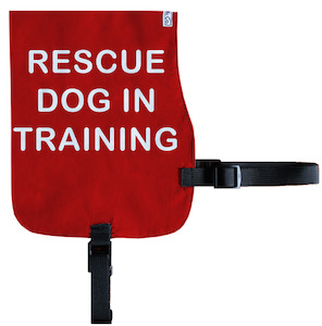 Products: Rescue Dog In Training Cotton Vest - From Rocco & Co