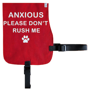 Products: Anxious Don't Rush Dog Cotton Vest - From Rocco & Co