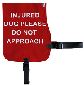 Products: Injured Dog Cotton Vest - From Rocco & Co