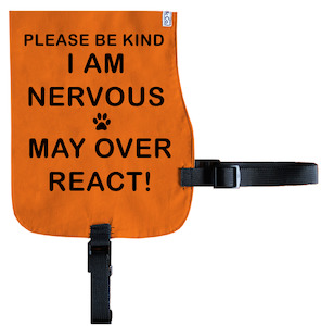 Nervous and May Over React Cotton Vest - From Rocco & Co