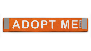 Products: Adopt Me Lead Cover - Rocco & Co