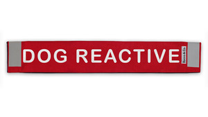 Products: Mini Dog Reactive Lead Cover - Rocco & Co