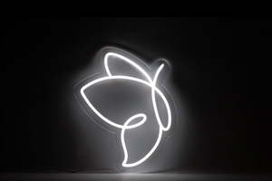 For the kids: Butterfly Closed