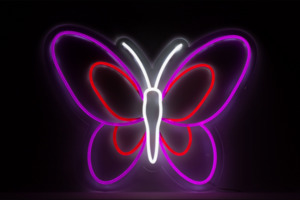 Butterfly Open