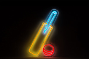 Sport: Cricket Bat and Ball