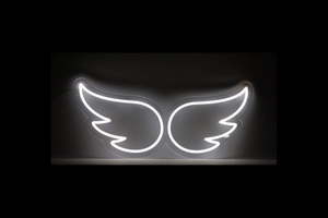 Big Girls: Angel Wings