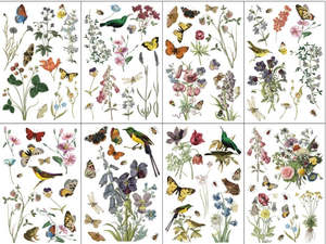 IOD Decor Transfer Pad 20 x 30.5cm - Wilde Bloemen (8 Sheets)