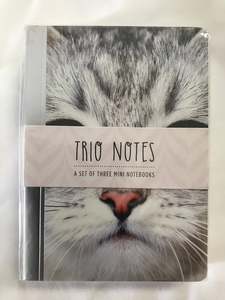 Trio Notes - Kittens