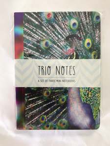 Stationery Collection: Trio Notes - Vivid