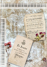 Decoupage Queen: Decoupage Queen A3 Rice Paper - Le Juene Background