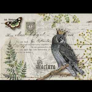 Decoupage Queen A3 Rice Paper - Owl Botanicals