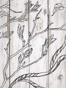IOD Decor Stamp 30.5 x 30.5cm - Branches and Vine (with masks) *RETIRED*