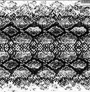 IOD Decor Stamp 30.5 x 30.5cm - Serpentine *RETIRED*