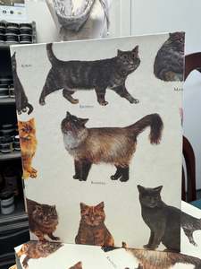 Jotter Pad - Cats