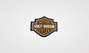 Pins Patches: Harley-Davidson Bar & Shield Patch 3" Orange