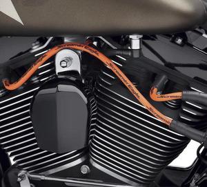 Screamin' Eagle Spark Plug Wires 31964-89C