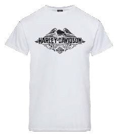 Harley-Davidson Ascend Men's Dealer Tee