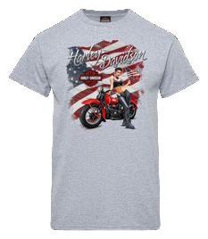 Tees Shirts: Harley-Davidson Flare Men's Dealer Tee