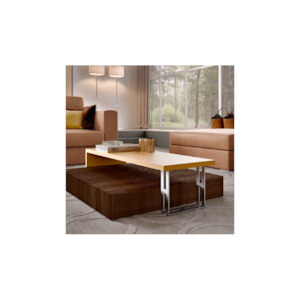 BONSEKI BRIGE coffee table